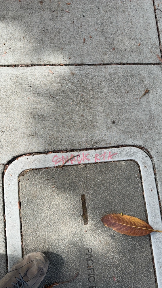 Photo attached to case 202000240337