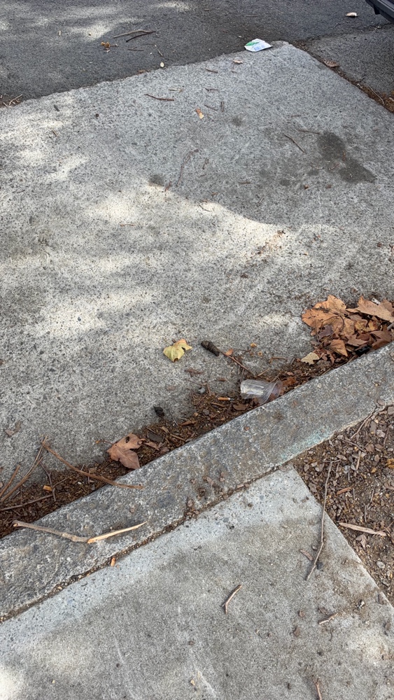 Photo attached to case 202000240352