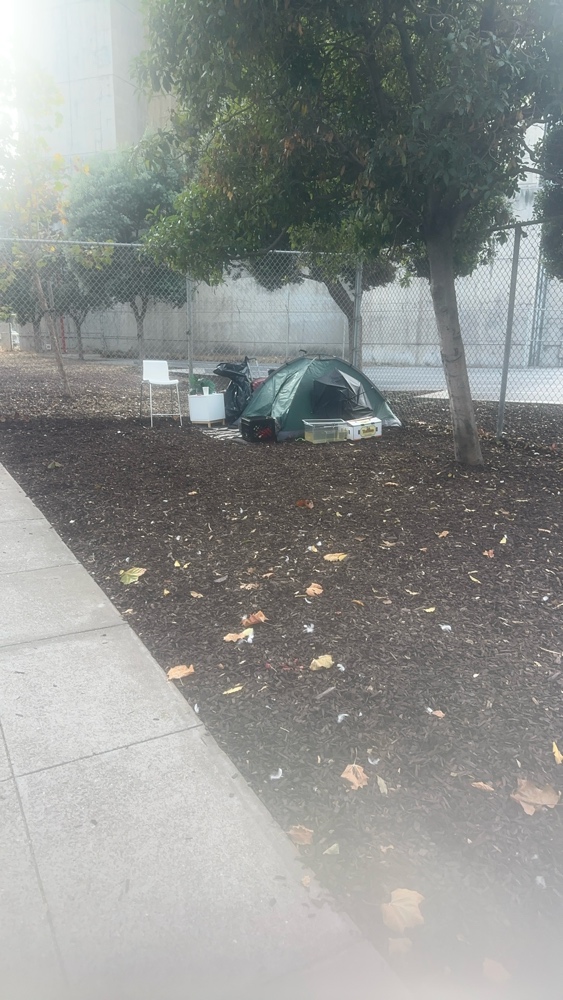Photo attached to case 202000240429