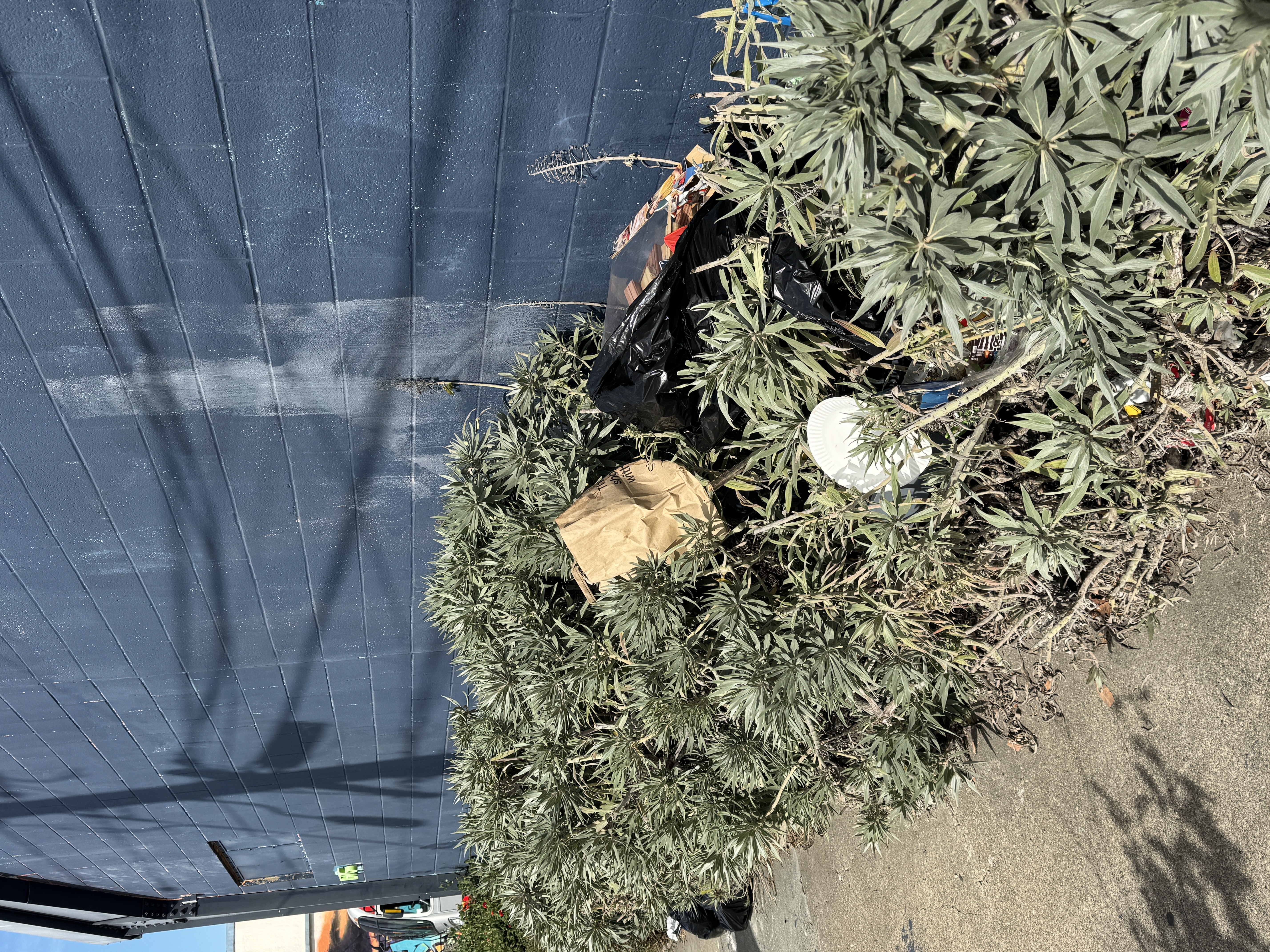 Photo attached to case 202000240492
