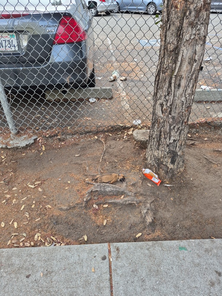Photo attached to case 202000240741