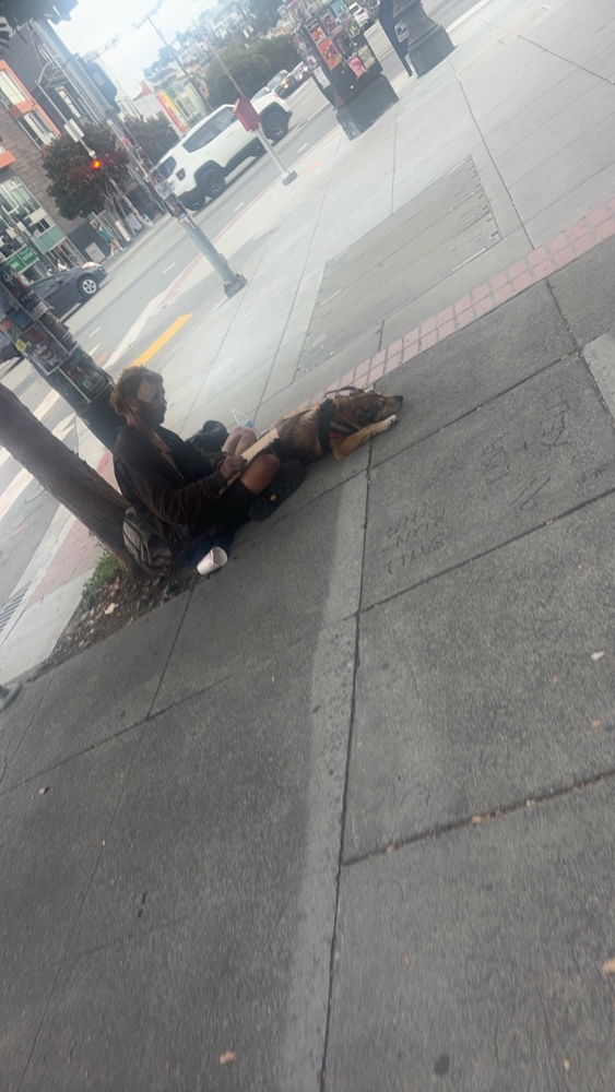 Photo attached to case 202000241276