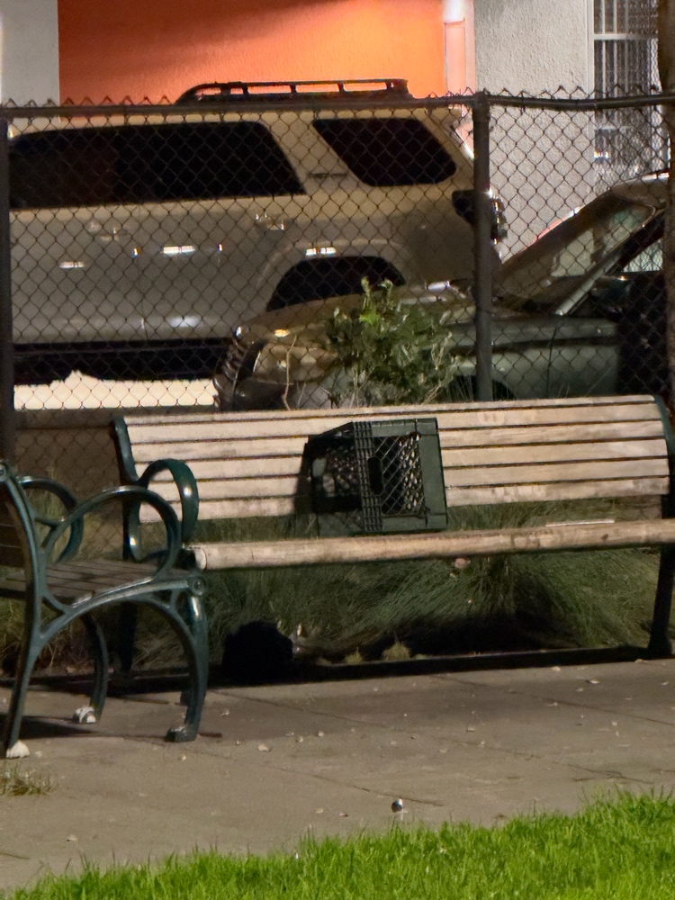Photo attached to case 202000241843