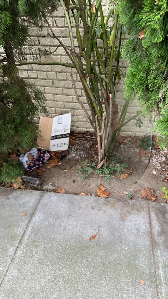 Photo attached to case 202000242643