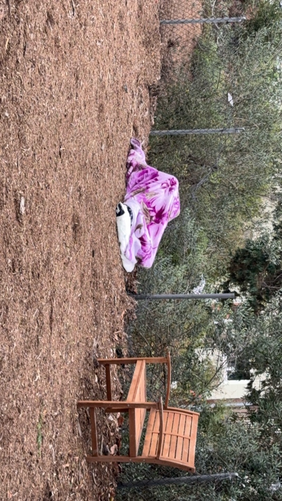 Photo attached to case 202000242765