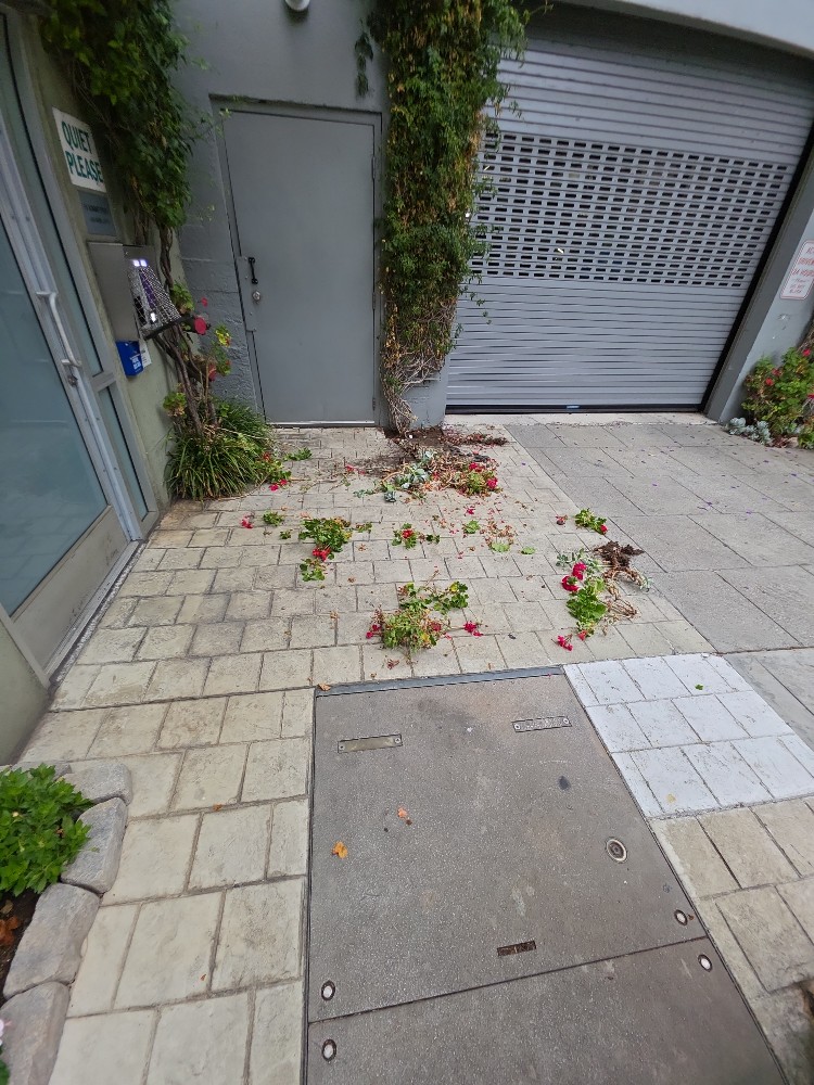 Photo attached to case 202000242816