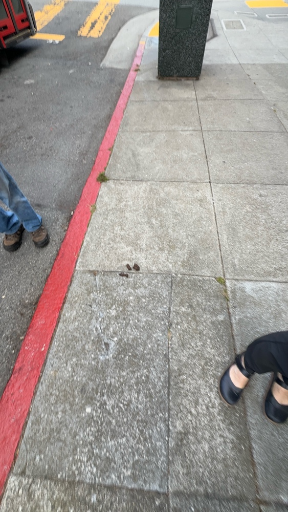 Photo attached to case 202000242969