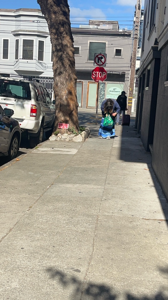 Photo attached to case 202000243751
