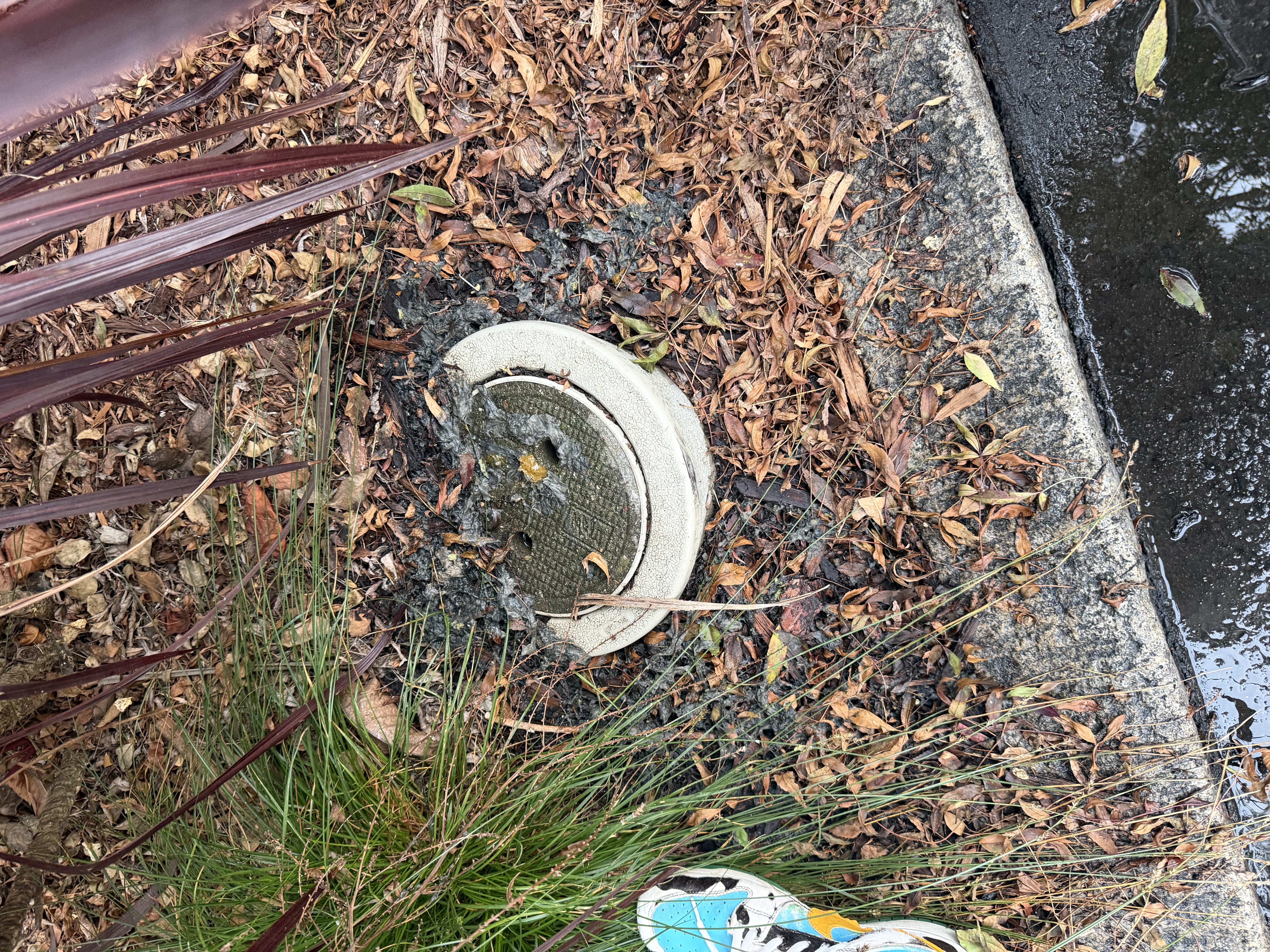 Photo attached to case 202000244080