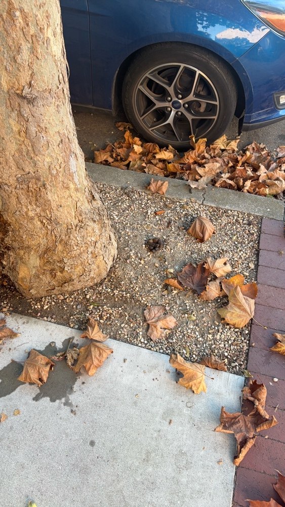 Photo attached to case 202000244342