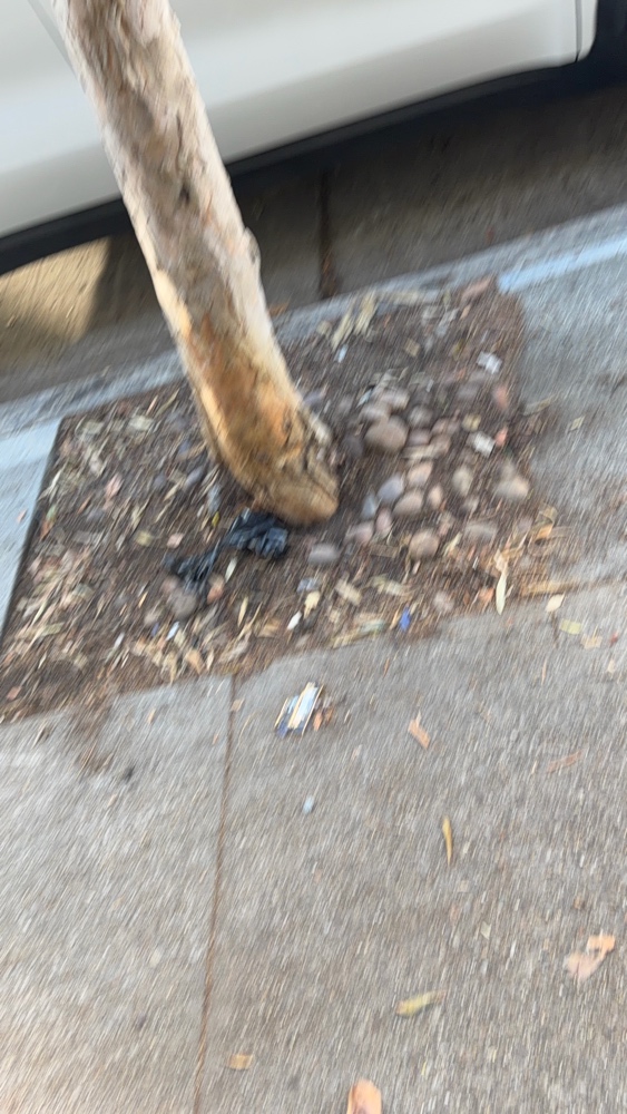 Photo attached to case 202000244590