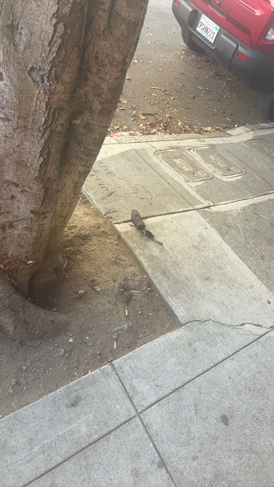 Photo attached to case 202000244617