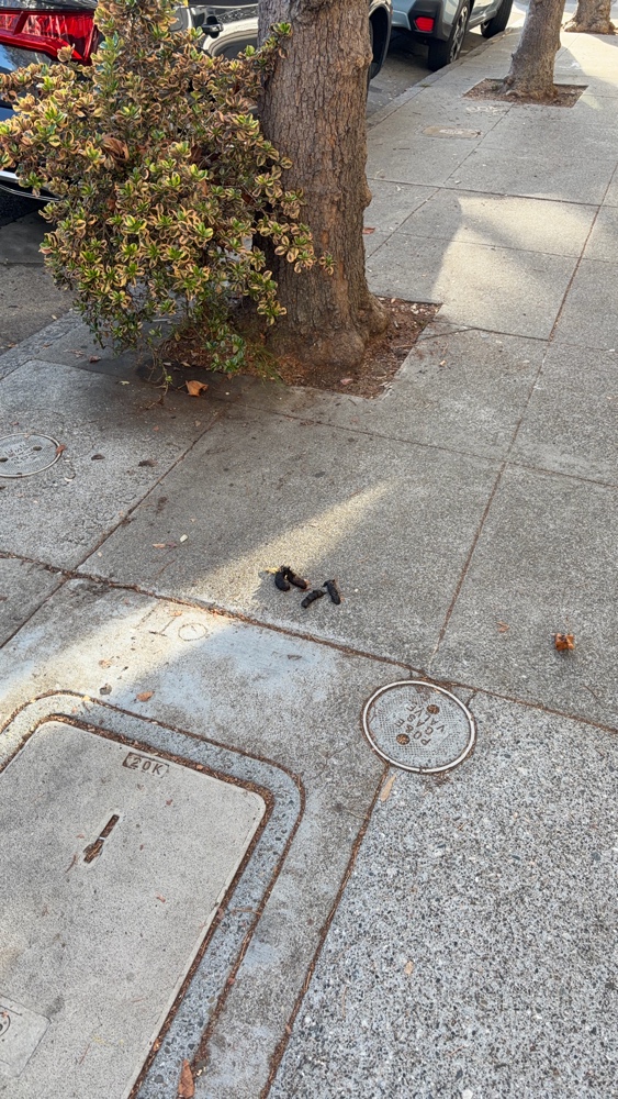 Photo attached to case 202000244628