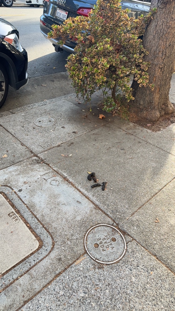 Photo attached to case 202000244703