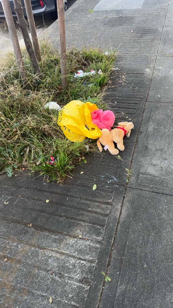 Photo attached to case 202000244729