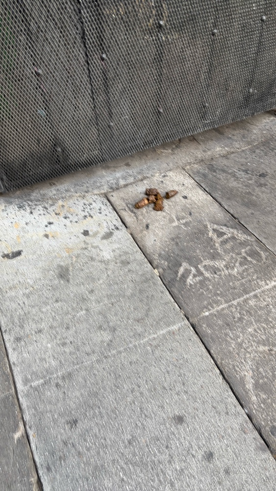 Photo attached to case 202000244965