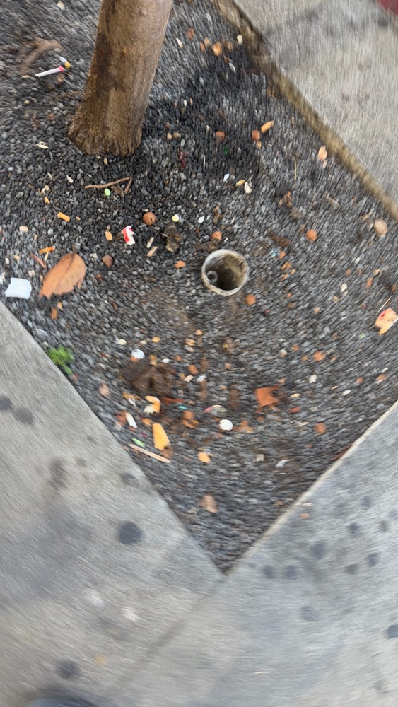 Photo attached to case 202000245093