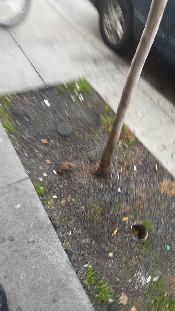Photo attached to case 202000245094