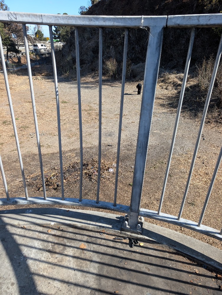 Photo attached to case 202000245456